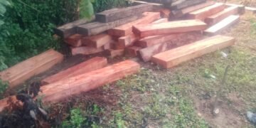 La Policía incautó un cargamento ilegal de madera