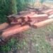 La Policía incautó un cargamento ilegal de madera