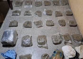 La Policía de Salta secuestró más de 32 kilos de marihuana en Morillo