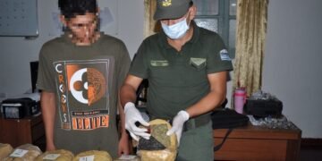Gendarmería secuestró 20 kilos de marihuana