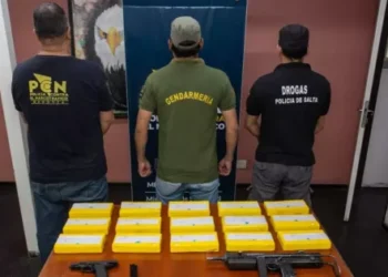 Desbarataron una organización narcocriminal con vinculaciones nacionales