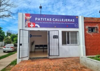 Receso de la atención veterinaria en Patitas Callejeras