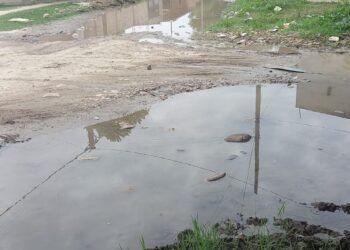 Denuncian importante pérdida de agua