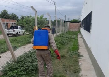 Mantenimiento de espacios verdes