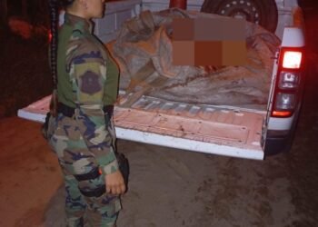 Decomisaron más de 500 kilos de carne no apta para el consumo