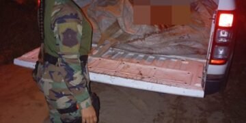 Decomisaron más de 500 kilos de carne no apta para el consumo