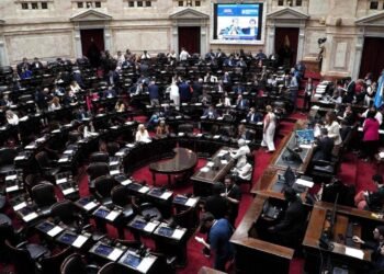 El oficialismo logró darle media sanción a la suspensión de las PASO