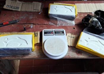 Traficaba más de 3 kilos de cocaína en un tour de compras