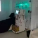 Duplicarán la capacidad operativa del centro de hemodiálisis de Orán