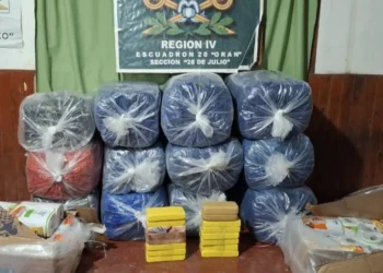 Incautan más de 16 kilos de cocaína y 264 kilos de hojas de coca en Orán
