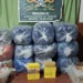 Incautan más de 16 kilos de cocaína y 264 kilos de hojas de coca en Orán
