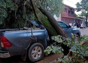 Fuerte temporal azotó a Salvador Mazza