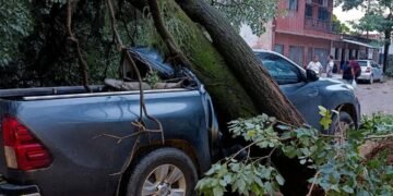 Fuerte temporal azotó a Salvador Mazza