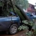 Fuerte temporal azotó a Salvador Mazza