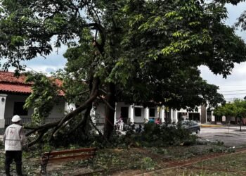 Intenso trabajo de Defensa Civil tras la tormenta de ayer