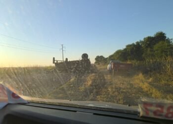 Volcó un camión con madera en la Ruta 5