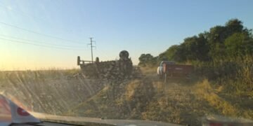 Volcó un camión con madera en la Ruta 5