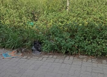 Foto denuncia de los vecinos