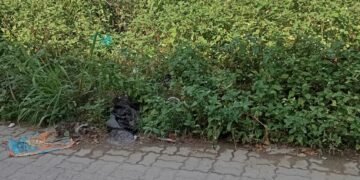 Foto denuncia de los vecinos