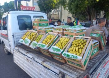 “Bananazo” en repudió al ingreso de banana desde Bolivia y Paraguay