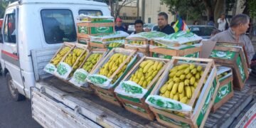 “Bananazo” en repudió al ingreso de banana desde Bolivia y Paraguay