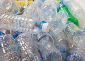 Punto Verde hoy en la Plaza de los Jóvenes