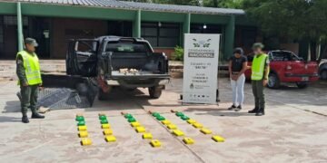 En dos procedimientos Gendarmería secuestró cocaína y marihuana