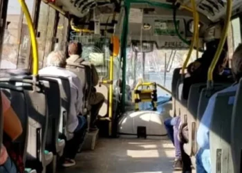 Boleto gratuito para jubilados