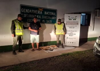 Detuvieron al líder de una organización narcocriminal con 16 kilos de cocaína