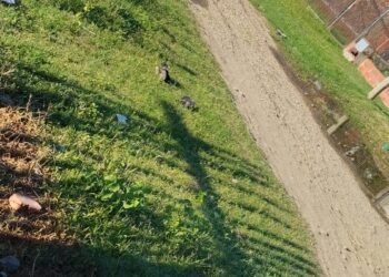 Vecinos denuncian una pérdida de agua