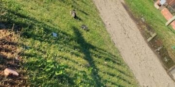 Vecinos denuncian una pérdida de agua