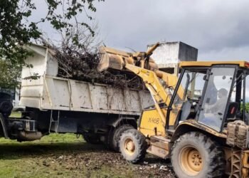 Trabajos de limpieza en la zona sur de la ciudad