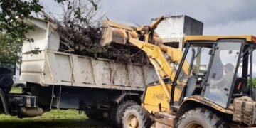 Trabajos de limpieza en la zona sur de la ciudad