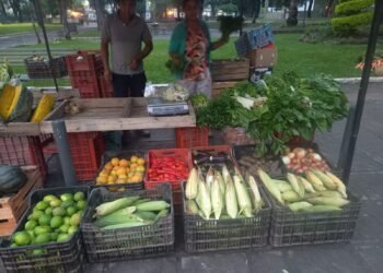 Feria de los Pequeños Productores del NOA