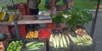 Feria de los Pequeños Productores del NOA