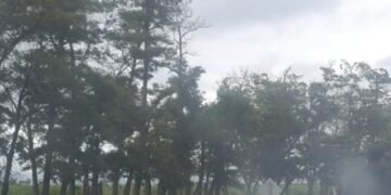 Triple choque sobre la Ruta Nacional 34