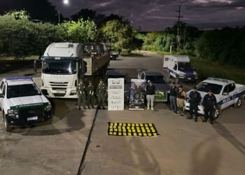 Desbaratan una banda que usaban doble fondos en el acoplado de camiones para trasladar 126 kilos de cocaína 