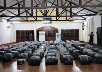Gendarmería secuestró 3.500 kilos de hojas de coca
