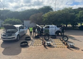 Desarticularon una banda narco criminal que operaba desde Orán