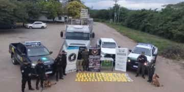 Más de 84 kilos de cocaína decomisados en el sur provincial