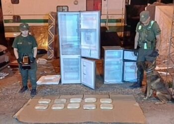 Simulaba una mudanza y traficaba 10 kilos de cocaína en dos heladeras
