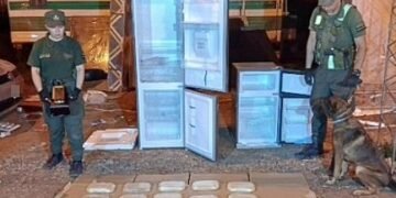 Simulaba una mudanza y traficaba 10 kilos de cocaína en dos heladeras