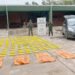 Traficaba 194 kilos de cocaína en doble fondos de su vehículo