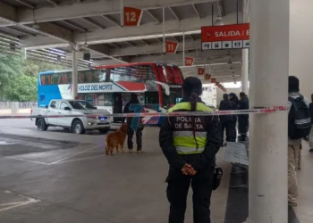 Un colectivo de larga distancia transportaba 42 paquetes de droga