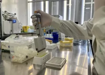 Salta confirmó 3 casos de dengue. Uno de ellos en Colonia Santa Rosa