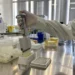 Salta confirmó 3 casos de dengue. Uno de ellos en Colonia Santa Rosa