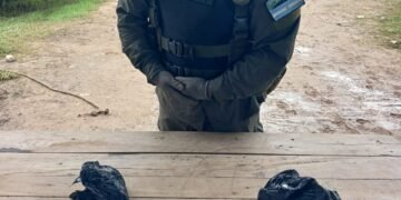 Detienen a dos pasajeros de taxis que viajaban con tres kilos de cocaína