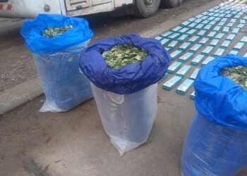 La Policía Federal secuestró una importante cantidad de  hojas de coca