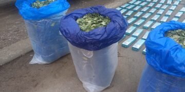 La Policía Federal secuestró una importante cantidad de  hojas de coca
