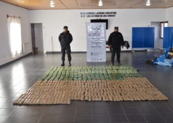 La Policía secuestró más de 150 kilos de hojas de coca